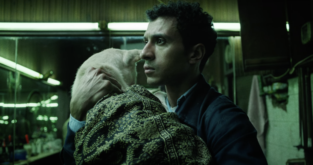 6 Arab films that dominated international festivals in 2024