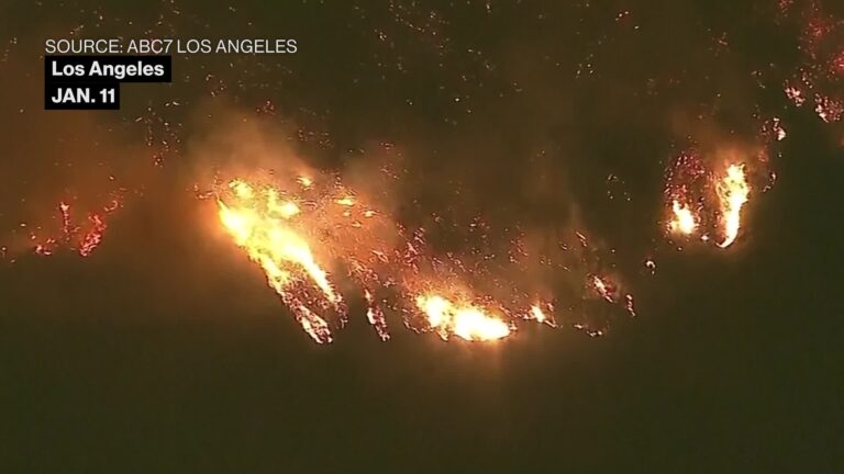 Watch Firefighters Race to Cut off Blazes as LA Fires Persist