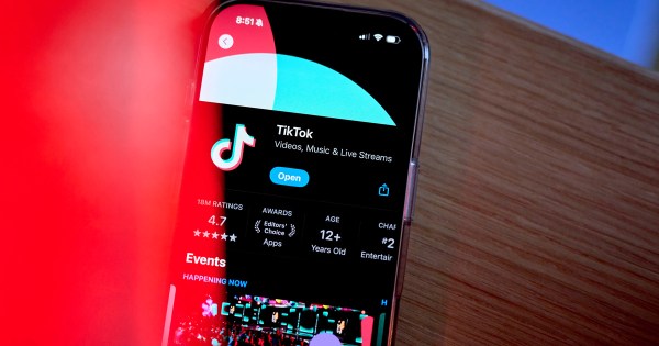 TikTok Tells Advertisers US Campaigns Will Resume on Sunday After Temporary Pause