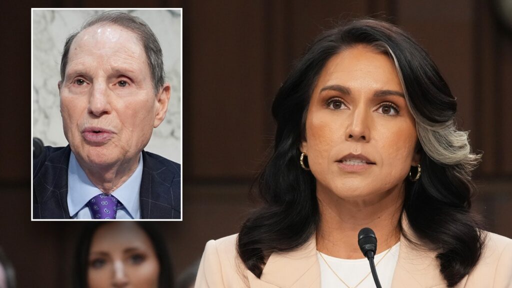 Dem senator wants Waltz, Hegseth to resign as Gabbard says no classified material shared in Signal Dem senator wants Waltz, Hegseth to resign as Gabbard says no classified material shared in Signal